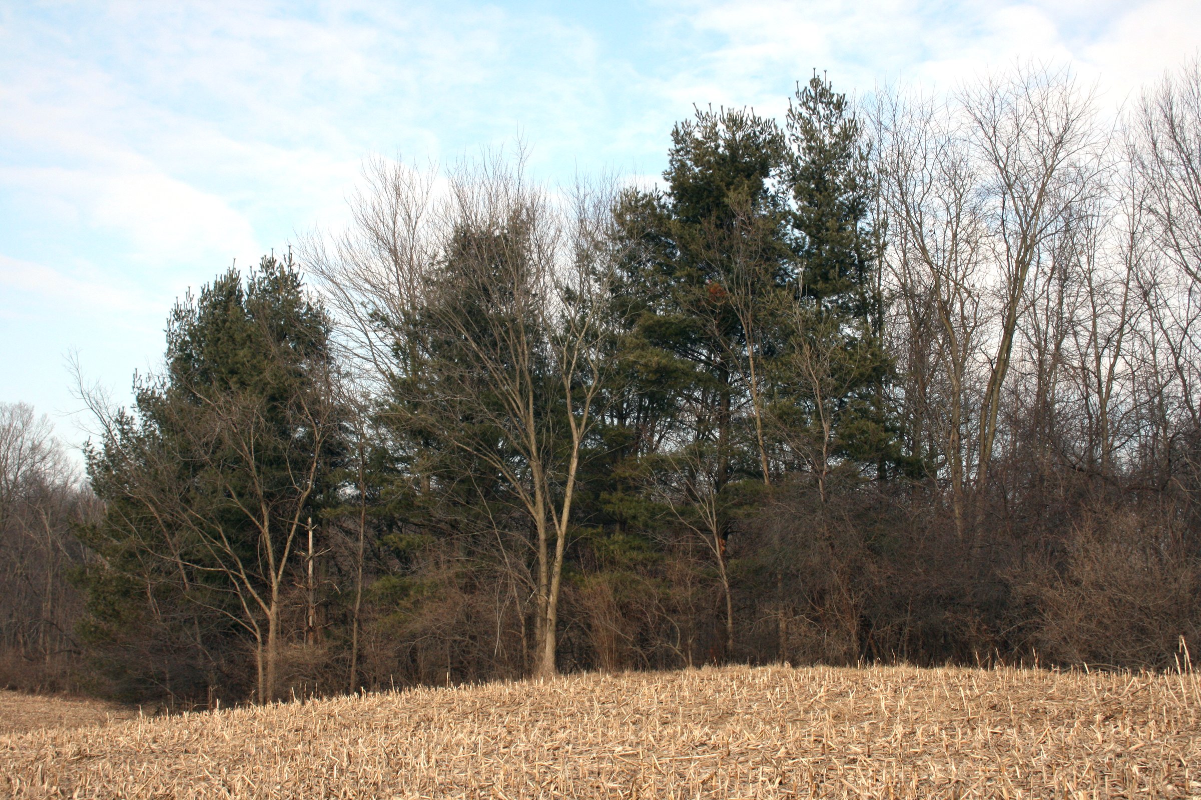 Property photo 2 - REAL ESTATE AUCTION - 84.5+/- ACRES IN 4 TRACTS IN WHITLEY COUNTY, INDIANA